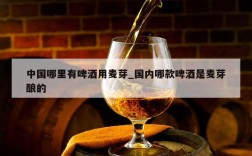 中国哪里有啤酒用麦芽_国内哪款啤酒是麦芽酿的